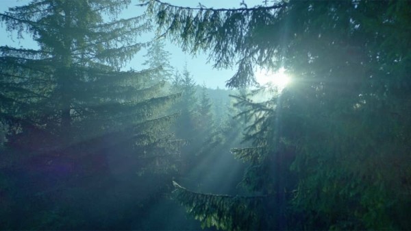 Стоит ли делать запуск рекламной кампании во время войны? Опыт Моршинской