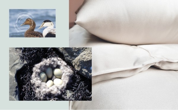 Как мы продаём подушки за полмиллиона. Кейс: промосайт для «Ауралис»
Как мы продаём подушки за полмиллиона. Кейс: промосайт для «Ауралис»