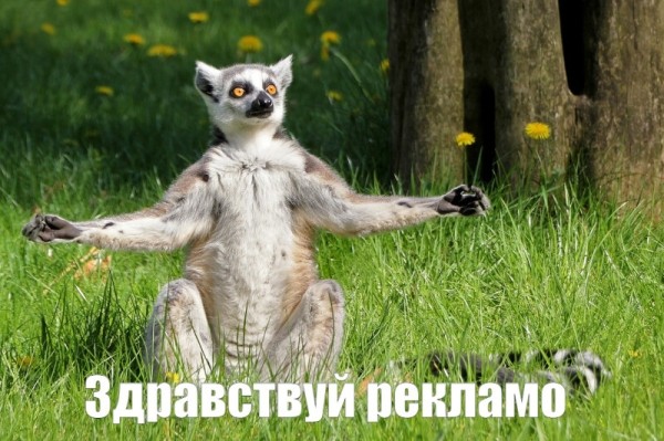 
                    Есть ли шансы у продаж без насилия?            