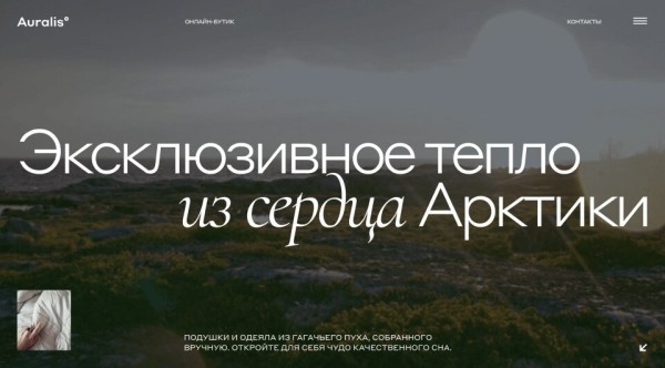 Как мы продаём подушки за полмиллиона. Кейс: промосайт для «Ауралис»
Как мы продаём подушки за полмиллиона. Кейс: промосайт для «Ауралис»