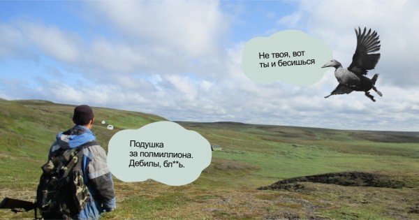 Как мы продаём подушки за полмиллиона. Кейс: промосайт для «Ауралис»
Как мы продаём подушки за полмиллиона. Кейс: промосайт для «Ауралис»