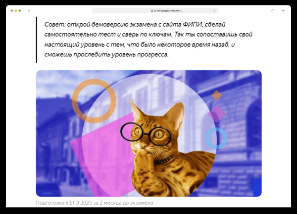 
                    Как использовать сезонный спрос, чтобы рассказывать о своих товарах и услугах            