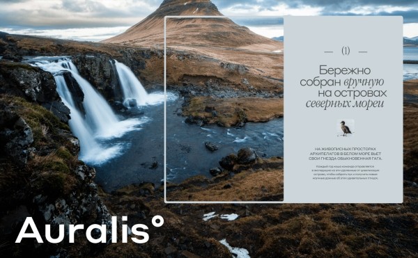 Как мы продаём подушки за полмиллиона. Кейс: промосайт для «Ауралис»
Как мы продаём подушки за полмиллиона. Кейс: промосайт для «Ауралис»