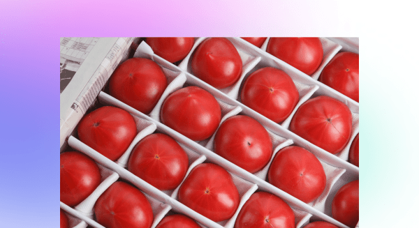 
                    Дело не в маркетинге: что важно знать CEO о развитии бизнеса            