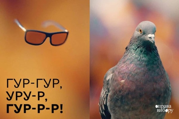 Исследовали птичье видение. Новая креативная кампания для очков, людей и птиц от Bickerstaff.499 Исследовали птичье видение. Новая креативная кампания для очков, людей и птиц от Bickerstaff.499