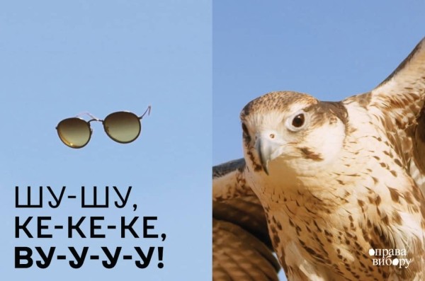 Исследовали птичье видение. Новая креативная кампания для очков, людей и птиц от Bickerstaff.499 Исследовали птичье видение. Новая креативная кампания для очков, людей и птиц от Bickerstaff.499