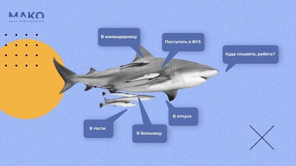
                    Как мы обхитрили автоматические стратегии Яндекса и заставили их приводить больше заявок за меньшие деньги            
