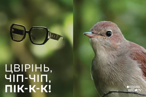 Исследовали птичье видение. Новая креативная кампания для очков, людей и птиц от Bickerstaff.499 Исследовали птичье видение. Новая креативная кампания для очков, людей и птиц от Bickerstaff.499