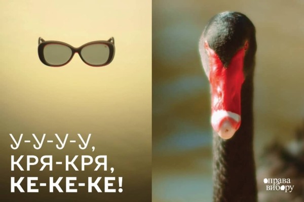 Исследовали птичье видение. Новая креативная кампания для очков, людей и птиц от Bickerstaff.499 Исследовали птичье видение. Новая креативная кампания для очков, людей и птиц от Bickerstaff.499