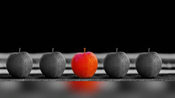 
                    Уникальное торговое предложение            