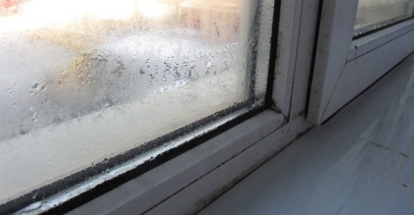 Как фамильный оконный бренд стал знаком качества и надежности: история компании «Оконный Бутик Виталия Хрусталева»
Как фамильный оконный бренд стал знаком качества и надежности: история компании «Оконный Бутик Виталия Хрусталева»