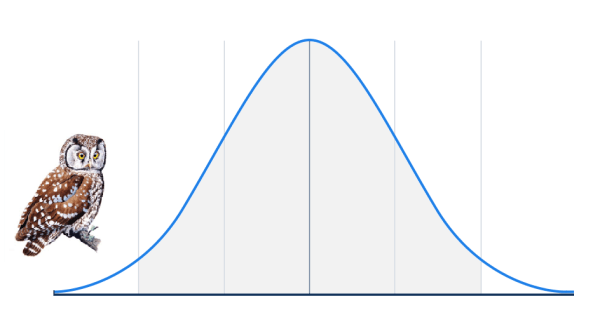 
                    Партизаны на улицах Еревана: как мы привлекли 600 первых пользователей за $50 с помощью плакатов            