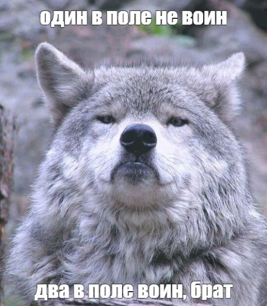 
                    Бесплатный сыр только в мышеловке: нет бюджетов — нет пиара            