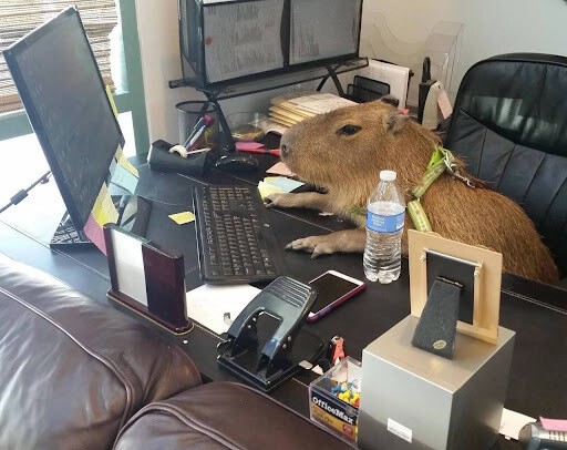 Удивительные истории из жизни digital-агентств
Удивительные истории из жизни digital-агентств