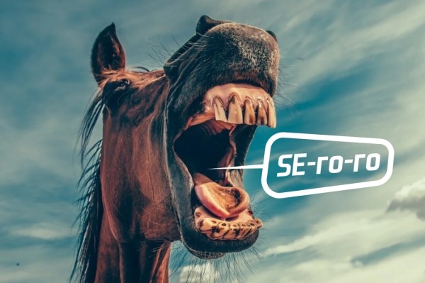 Хватит сливать бюджеты: как понять, что SEO-подрядчик не вывозит?
Хватит сливать бюджеты: как понять, что SEO-подрядчик не вывозит?