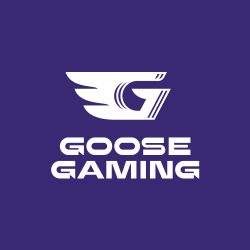 Григорий Мезенцев назначен коммерческим директором Goose Gaming