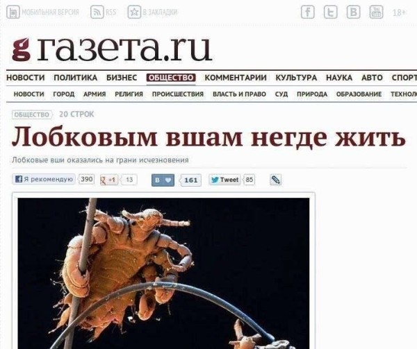 
                    Простые примеры эффективных заголовков для постов и рекламных офферов в телеграм            