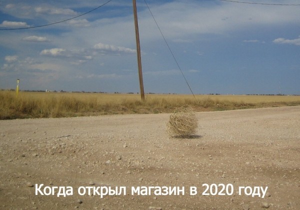 
                    Как я стал франчайзи, на ошибках которого учились 145 магазинов франшизы «Жизньмарт»            