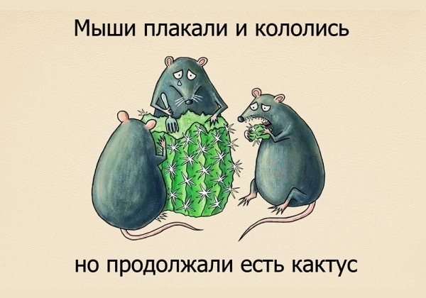 
                    Как я стал франчайзи, на ошибках которого учились 145 магазинов франшизы «Жизньмарт»            
