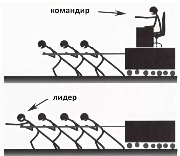 
                    ТАРГЕТИРОВАННАЯ РЕКЛАМА. Что за фрукт и КАК ОНА МОЖЕТ ПОМОЧЬ БИЗНЕСУ?            