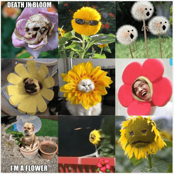 
                    Огненная командная ретроспектива с обратной связью каждому            