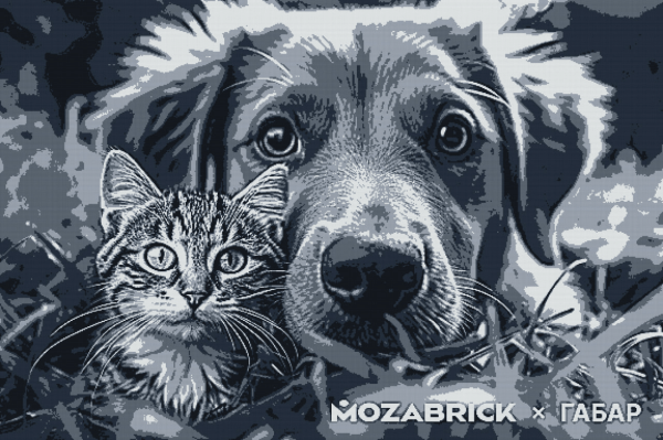 
                    Как мы установили рекорд России, собрав самый большой конструктор из 221 тысячи кубиков            