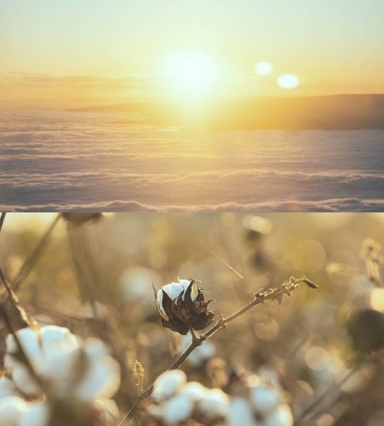 Кейс Rocketmen Agency: запуск бренда натурального текстиля в США Кейс Rocketmen Agency: запуск бренда натурального текстиля в США