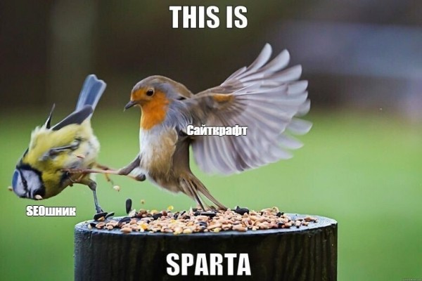 
                    За что мы увольняем seo-специалистов?            