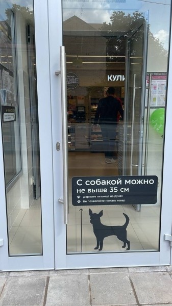 
                    Анастасия Панина, СMO Магнолия: коллеги, а вы сами смотрели бы презентации на 30 слайдов?            