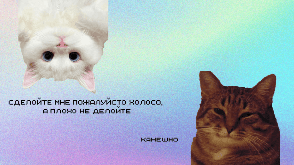 
                    Как настроить оптимальную модель работы с заказчиками текстов:   пять правил для комфортной коммуникации            