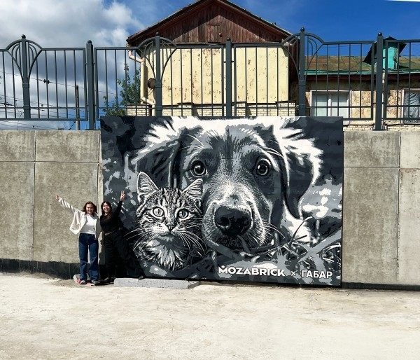 
                    Как мы установили рекорд России, собрав самый большой конструктор из 221 тысячи кубиков            