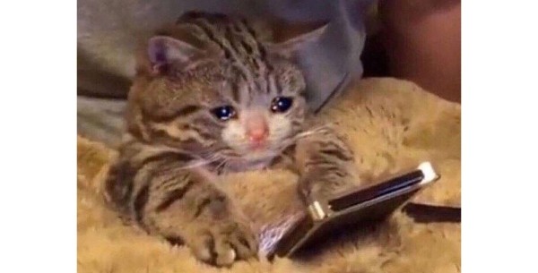 
                    Провальные стартапы техногигантов: как не повторить ошибки Google, Microsoft и Amazon            