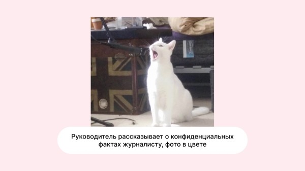 
                    Топ провалов пиарщиков: в какие истории попадали СЕО и менеджеры PR-агентств            