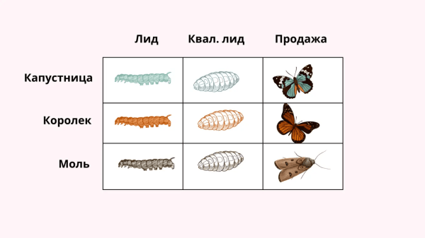 
                    Объясняю на гусеничках: как сделать сквозную аналитику понятной для предпринимателя и полезной для бизнеса            