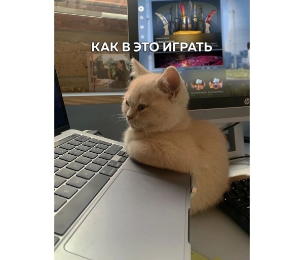 
                    Провальные стартапы техногигантов: как не повторить ошибки Google, Microsoft и Amazon            